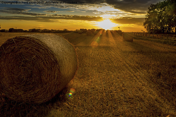  Making hay whilst the sun shines Picture Board by richard sayer