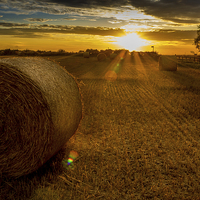 Buy canvas prints of  Making hay whilst the sun shines by richard sayer