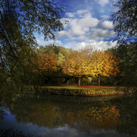 Buy canvas prints of  Autumns Touch by richard sayer