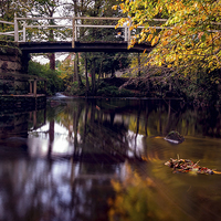 Buy canvas prints of  Autumnal Tranquility by richard sayer
