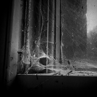 Buy canvas prints of Gothic Spider Web in a Neglected Window by richard sayer