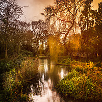 Buy canvas prints of Stewarts Park by richard sayer