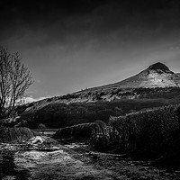 Buy canvas prints of A Winters Walk by richard sayer