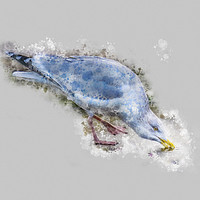Buy canvas prints of Water Colour Gull by richard sayer