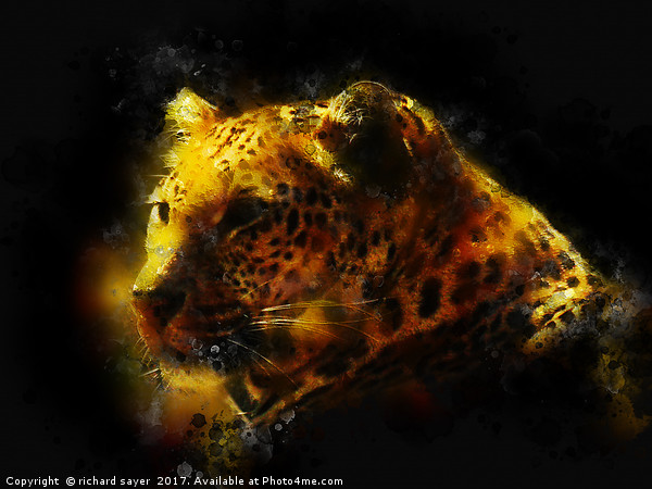 Jaguar  Picture Board by richard sayer