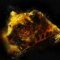 Buy canvas prints of Jaguar  by richard sayer