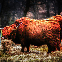Buy canvas prints of Hairy Coo by richard sayer