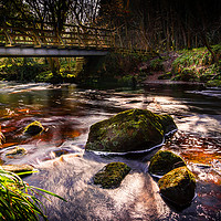 Buy canvas prints of West Beck by richard sayer