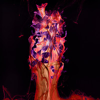 Buy canvas prints of Flamenco Glow by richard sayer