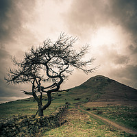 Buy canvas prints of The Long Walk by richard sayer
