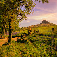 Buy canvas prints of A Restful Place by richard sayer