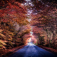 Buy canvas prints of A Road to Autumns Glory by richard sayer