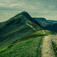 Buy canvas prints of Conquer the Majestic Catbells by richard sayer
