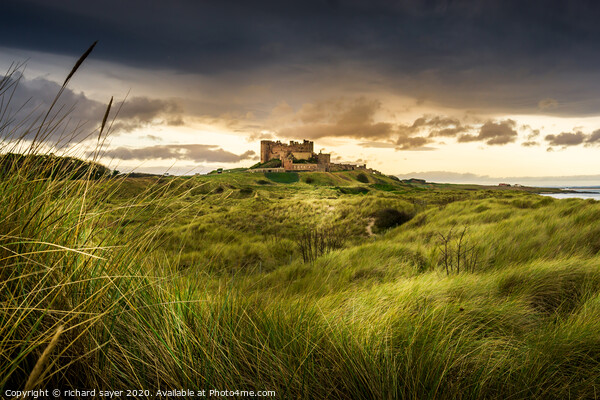 The Timeless Majesty of Bamburgh Castle Picture Board by richard sayer
