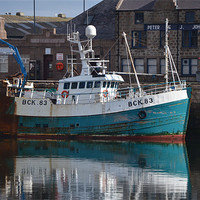 Buy canvas prints of Small Trawler Peterhead by Mark McDermott