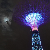Buy canvas prints of Gardens by the Bay & Moon by Mark McDermott