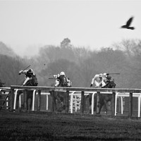 Buy canvas prints of At the races by Leon Conway
