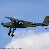 Buy canvas prints of Storch by Lee Mullins