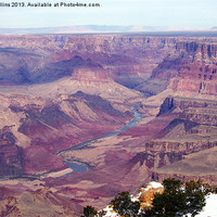Buy canvas prints of The Colorado River by Lee Mullins