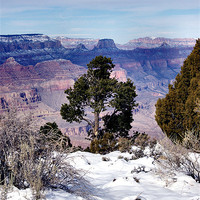 Buy canvas prints of Winter at the Grand Canyon by Lee Mullins