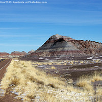 Buy canvas prints of Road through the Painted Desert by Lee Mullins
