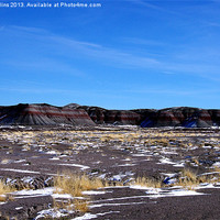 Buy canvas prints of Painted Desert desolation by Lee Mullins