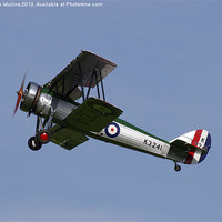 Buy canvas prints of Avro Tutor climbing out by Lee Mullins