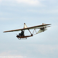Buy canvas prints of Early glider by Lee Mullins