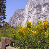 Buy canvas prints of El Capitan, Yosemite National Park by Jay Huckins
