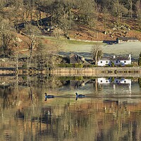 Buy canvas prints of Early Morning Light And Reflections At Rydalwater by Gary Kenyon
