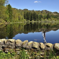 Buy canvas prints of Yew Tree Tarn Reflections by Gary Kenyon