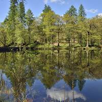 Buy canvas prints of Yew Tree Tarn by Gary Kenyon