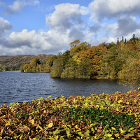 Buy canvas prints of Autumnal Windermere by Gary Kenyon
