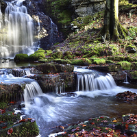 Buy canvas prints of Scaleber Foss Waterfall by Gary Kenyon