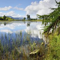 Buy canvas prints of Reflections at Wise Een Tarn by Gary Kenyon