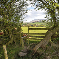 Buy canvas prints of Views Of Pendle Hill by Gary Kenyon