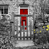 Buy canvas prints of Selective Colouring by Gary Kenyon