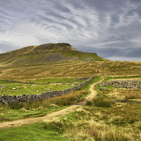 Buy canvas prints of  Path to Penyghent North Yorkshire by Gary Kenyon