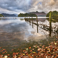 Buy canvas prints of  Derwentwater Early Morning by Gary Kenyon