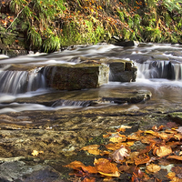 Buy canvas prints of  Autumnal Flowing Stream by Gary Kenyon