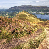 Buy canvas prints of Catbells and Derwentwater by Gary Kenyon