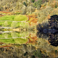Buy canvas prints of  Rydalwater Reflections by Gary Kenyon