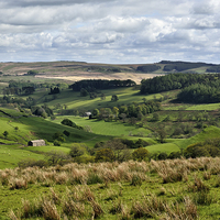 Buy canvas prints of  Rolling Hills Of Lancashire Bowland Forrest by Gary Kenyon