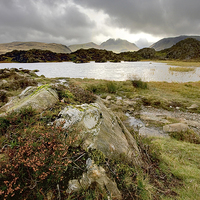 Buy canvas prints of   Innominate Tarn English Lake District Cumbria by Gary Kenyon