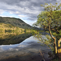 Buy canvas prints of Golden Light On Ullswater by Gary Kenyon
