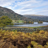Buy canvas prints of Autumnal Colours at Rydalwater by Gary Kenyon