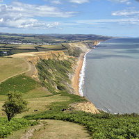 Buy canvas prints of Dorset Views From Thorncombe Beacon by Gary Kenyon