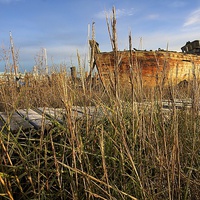 Buy canvas prints of  Grassy Good Hope Skipool Creek by Gary Kenyon