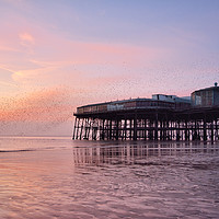 Buy canvas prints of Sunset Starlings North Pier by Gary Kenyon