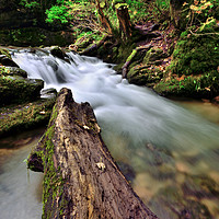 Buy canvas prints of Waterfall At Janets Foss -  Malham - Yorkshire     by Gary Kenyon